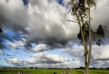 开云体育官网-中国羽毛球队逆转印尼强敌，安赛龙创造历史新纪录！