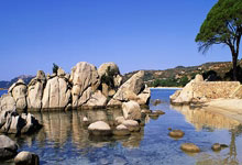 开云体育官网-英国乒乓球队完胜中国乒乓球队，许昕高光表现